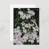Dogwood Mitteilungskarte (Vorne/Hinten)
