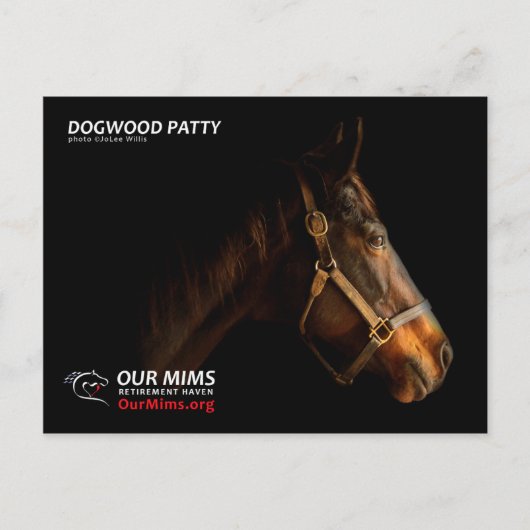 Dogwood Patty Postcard Postkarte (Vorderseite)