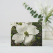 Dogwood Post Card Postkarte (Stehend Vorderseite)
