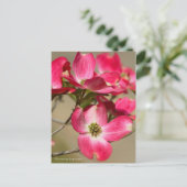 Dogwood (Postcard) Postkarte (Stehend Vorderseite)