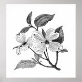 Dogwood Poster (Vorne)