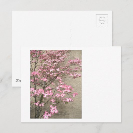Dogwood Postkarte (Vorne/Hinten)