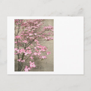 Dogwood Postkarte