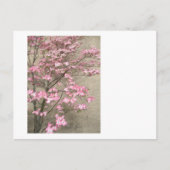 Dogwood Postkarte (Vorderseite)