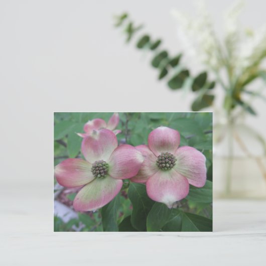 Dogwood Postkarte (Stehend Vorderseite)