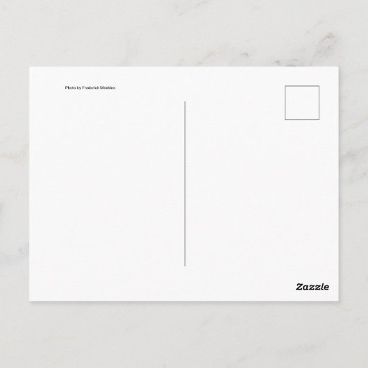 Dogwood Postkarte (Rückseite)