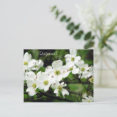 Dogwood Postkarte (Stehend Vorderseite)