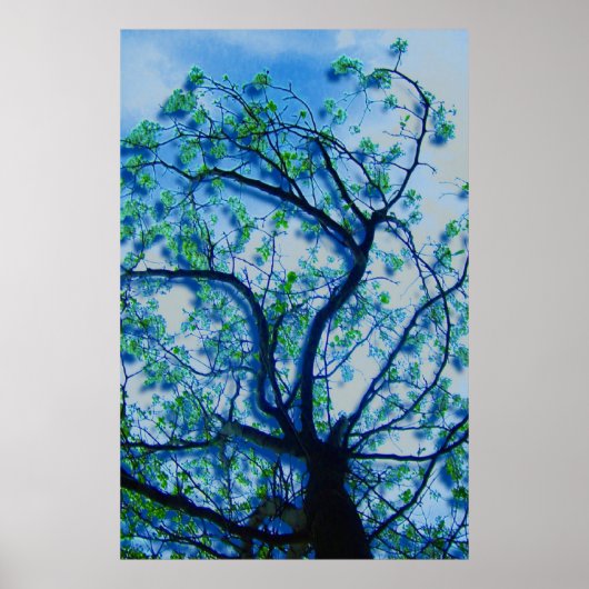 Dogwood-Rendite III Poster (Vorne)