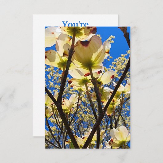 Dogwood Tree Einladung (Vorne/Hinten)