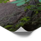 Dogwood Tree Poster (Ecke)