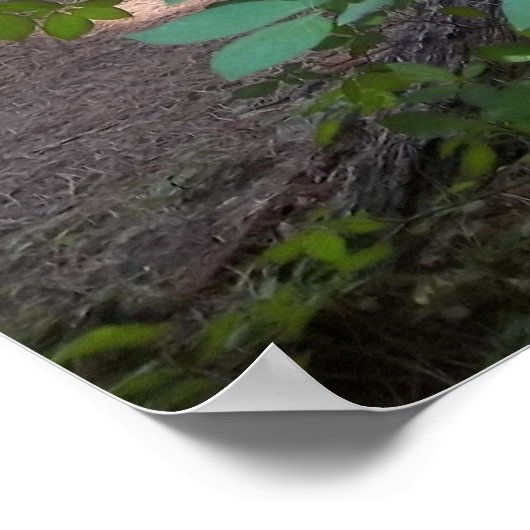 Dogwood Tree Poster (Ecke)