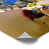 Dogwood Tree Poster (Ecke)