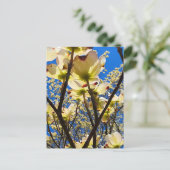 Dogwood Tree Postkarte (Stehend Vorderseite)