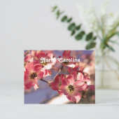 Dogwood Tree Postkarte (Stehend Vorderseite)