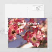 Dogwood Tree Postkarte (Vorne/Hinten)
