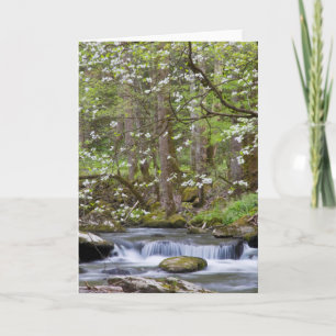 Dogwood Trees   Great Smoky Mountain, Tennessee Karte