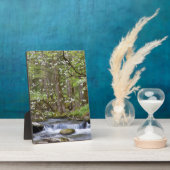 Dogwood Trees | Großer Smoky-Berg, Tennessee Fotoplatte (Seite)