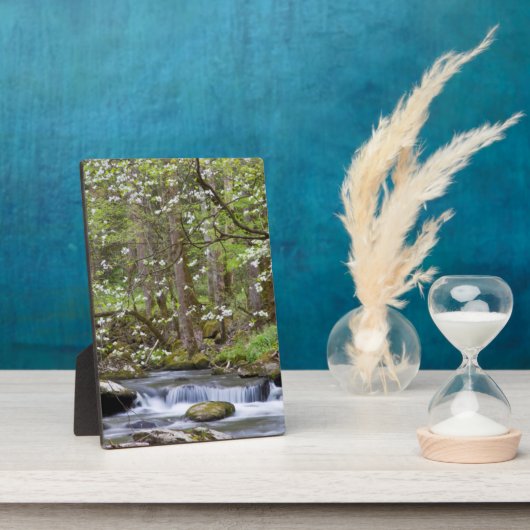 Dogwood Trees | Großer Smoky-Berg, Tennessee Fotoplatte (Seite)