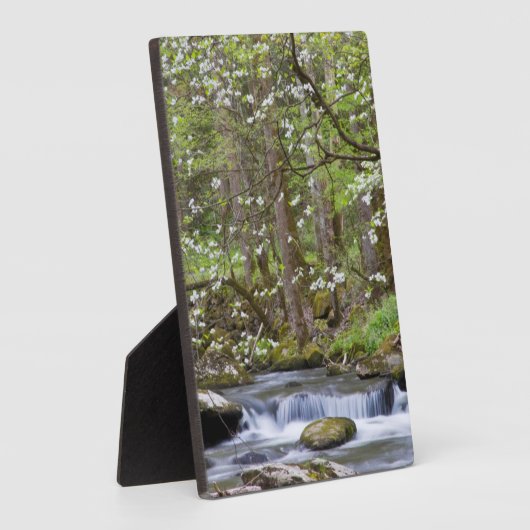 Dogwood Trees | Großer Smoky-Berg, Tennessee Fotoplatte (Seite)