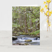 Dogwood Trees | Großer Smoky-Berg, Tennessee Karte (Gelbe Blume)