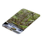 Dogwood Trees | Großer Smoky-Berg, Tennessee Magnet (Linke Seite)