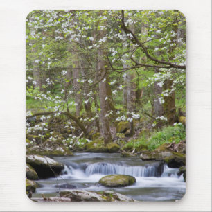 Dogwood Trees   Großer Smoky-Berg, Tennessee Mousepad