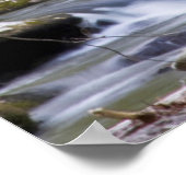 Dogwood Trees | Großer Smoky-Berg, Tennessee Poster (Ecke)