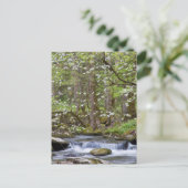 Dogwood Trees | Großer Smoky-Berg, Tennessee Postkarte (Stehend Vorderseite)