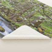 Dogwood Trees | Großer Smoky-Berg, Tennessee Sherpadecke (3/4)