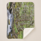 Dogwood Trees | Großer Smoky-Berg, Tennessee Sherpadecke (Vorderseite)