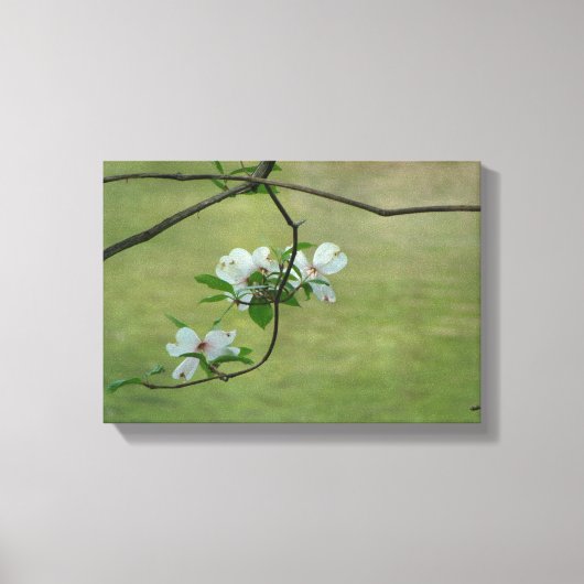 Dogwood-Wandkunst Leinwanddruck (Vorderseite)