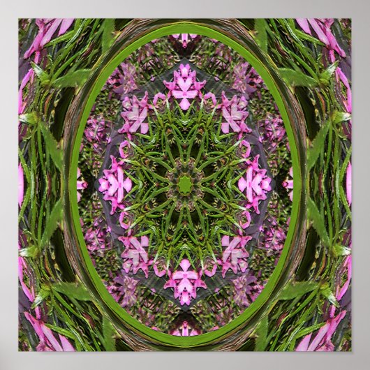 Doily vom Frühling... Poster (Vorne)