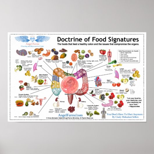 Doktrin von Lebensmittelsignaturen Poster (Vorne)