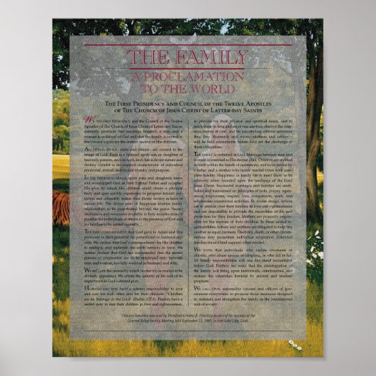 Dokument der Zeichnungsreihe "Familie" Poster (Vorne)