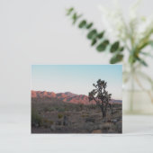 Dolan Springs Postkarte (Stehend Vorderseite)