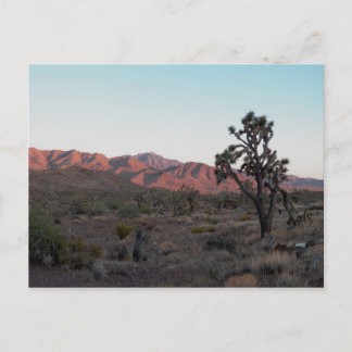 Dolan Springs Postkarte