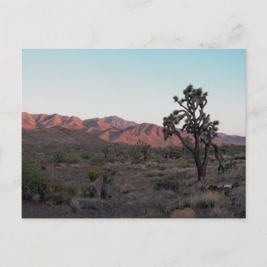 Dolan Springs Postkarte (Vorderseite)