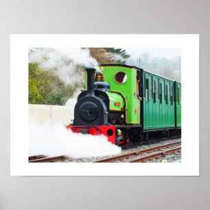 Dolbadarn Zug Poster