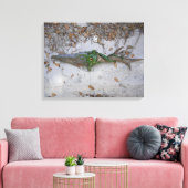 dolch, athame, wicca, Ritual, athame, wicca Leinwanddruck (Insitu (Wohnzimmer))