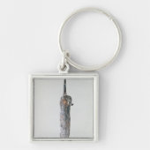 Dolch, Halstatt Kultur, c.750-450 BC Schlüsselanhänger (Vorne)