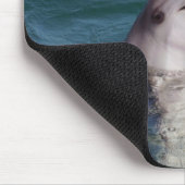 Dolfin Mousepad (Ecke)