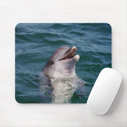 Dolfin Mousepad (Mit Mouse)