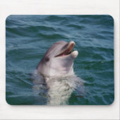 Dolfin Mousepad (Vorne)