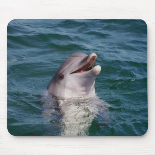 Dolfin Mousepad (Vorne)
