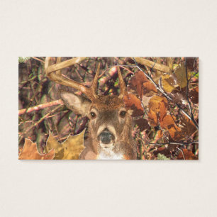 Dollar Camouflage-in den weißen Schwanz-Rotwild