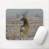Dollar des Maultierhirsch-D20 im Schnee Mousepad (Mit Mouse)