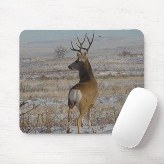 Dollar des Maultierhirsch-D20 im Schnee Mousepad (Mit Mouse)