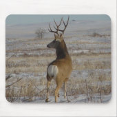 Dollar des Maultierhirsch-D20 im Schnee Mousepad (Vorne)