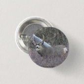 Dollar des Maultierhirsch-D32 Button (Vorne & Hinten)