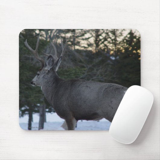Dollar des Maultierhirsch-D8 Mousepad (Mit Mouse)